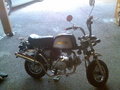 Honda Gorilla 26783151