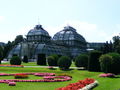 schönbrunn 2008 45301483