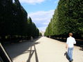 schönbrunn 2008 45301696