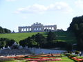 schönbrunn 2008 45301739