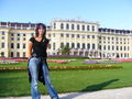 schönbrunn 2008 45301768