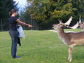 Tierpark Hochkräut 67205372