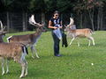 Tierpark Hochkräut 67205470