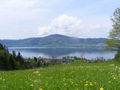 Wandern mit den Nachbarn 73231546