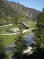 Wildpark + Almsee 18335766