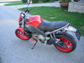 my 07er Buell 25164588