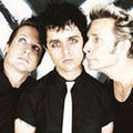 Green day 14506379