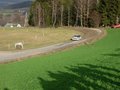 JÄNNER-RALLYE 2006 und 2007 16201709