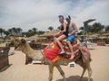 urlaub hurghada 57383109