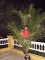 Tunesien - Hammamet 64615207