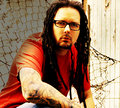 KoRn 22062545