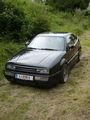 mein CORRADO 64002505