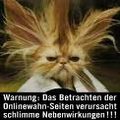 Lustige Bilder 17706434