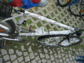 Hirschbike 29545670