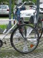 Hirschbike 29545681