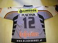 Eishockeytrikot 45246187