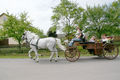 Unsere Hochzeit 07.07.2007 36002622