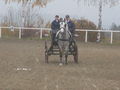 Vereinsmeisterschaft Fahren 8.11.2008 48357760