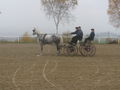 Vereinsmeisterschaft Fahren 8.11.2008 48357863