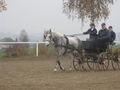 Vereinsmeisterschaft Fahren 8.11.2008 48357942