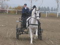 Vereinsmeisterschaft Fahren 8.11.2008 48358150