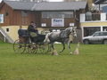 Vereinsmeisterschaft Fahren 8.11.2008 48358181