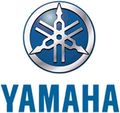 Yamaha the best motor........  58874079