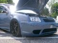 vw-audi treffen italien 08 48038152