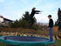 Trampolinspringa 18492128