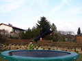 Trampolinspringa 18492292