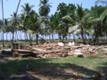 Sri - Lanka Tsunami  31257760