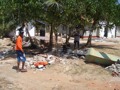 Sri - Lanka Tsunami  31263008