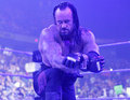 The Undertaker 22667696