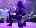 The Undertaker 22667705