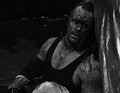 The Undertaker 22667772