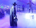 The Undertaker 22667781