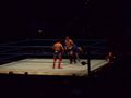 wrestling 2007 59373261