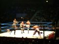 wrestling 2007 59373274