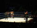 wrestling 2007 59373294