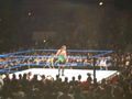 wrestling 2007 59373329