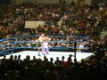 wrestling 2007 59373332