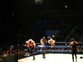 wrestling 2007 59373443