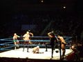 wrestling 2007 59373444