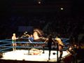 wrestling 2007 59373445