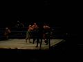 wrestling 2007 59373446