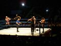 wrestling 2007 59373453