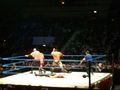 wrestling 2007 59373488