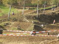 Motocross Julbach 70103898