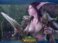 world of warcraft 14636220