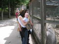 Tierpark Haag! 61561677